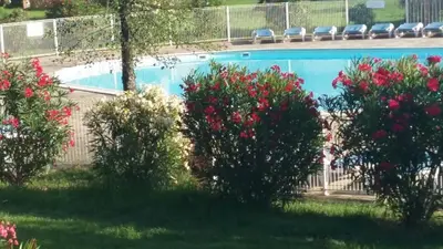 a group of bushes in front of a swimming pool at Villa Melody duplex climatisée piscine in Santa-Maria-Poggio