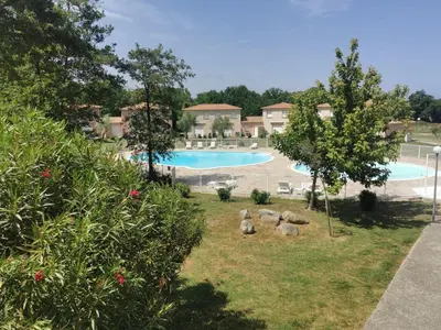 a group of animals standing by a swimming pool at Villa Melody duplex climatisée piscine in Santa-Maria-Poggio