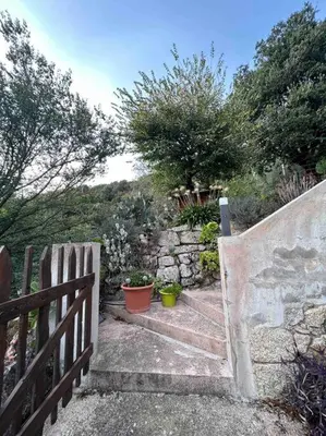 a set of stairs with a wooden fence and plants at Appartement au cœur d’un village in Foce