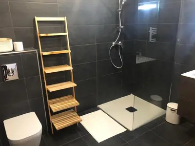 a bathroom with a shower and a toilet at T1 de standing avec vue in Corte
