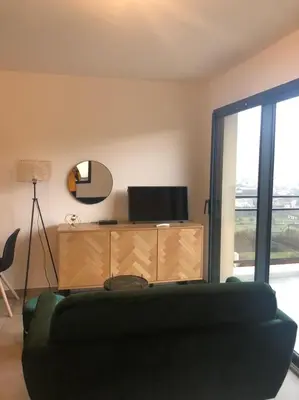 a living room with a green couch and a table at T1 de standing avec vue in Corte