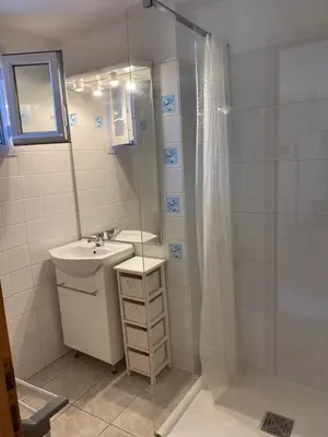 a bathroom with a sink and a shower at Appartement T2 Olmeto in Olmeto
