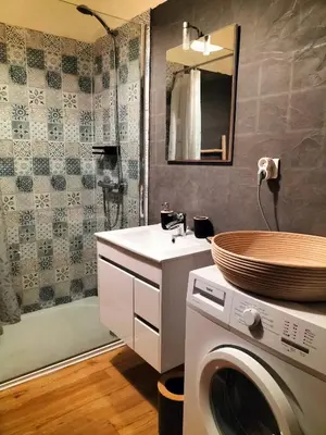 a bathroom with a washing machine and a sink at Studio face mer Porticcio, proche aéroport Ajaccio in Porticcio