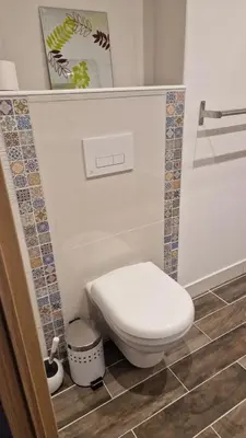 a bathroom with a white toilet in a room at A LIVIA Peri Ajaccio in Peri