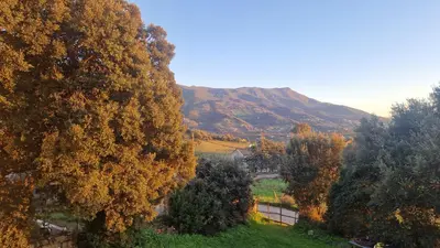 an autumn view of a hill with trees and a mountain at A LIVIA Peri Ajaccio in Peri