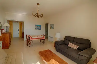 a living room with a couch and a table at Appartement centre ville Les Pins Ajaccio in Ajaccio