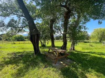 a wooden bench sitting under a tree in a field at Villa Arca, 5min du centre de Porto-Vecchio in Porto-Vecchio