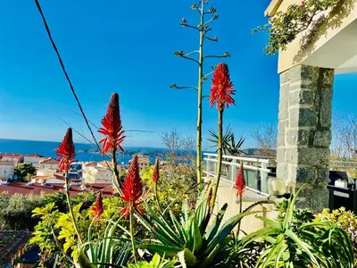 a garden with red flowers in front of a house at Villa Montalbo vue mer avec grande terrasse & plage à proximité - idéale famille et groupe de 2 à 10 personnes in Cargèse