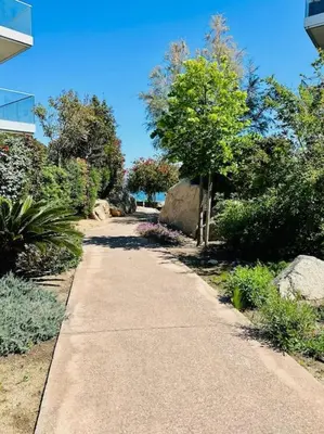a walking path in a park with trees and rocks at 