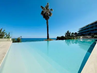 a large swimming pool with a palm tree and the ocean at 