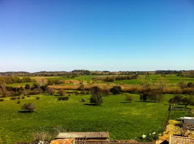 an open field with green grass and trees at casa teppe rosse in Aléria