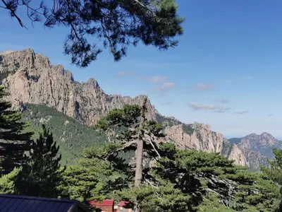 a tree in front of a mountain at Casa Jeromine in Quenza