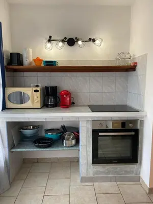 a kitchen with a counter with a stove and a microwave at U FILANCIU in Olmeto