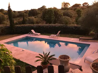 a swimming pool with two lawn chairs and a plant at Villa Oliera in Saint-Florent