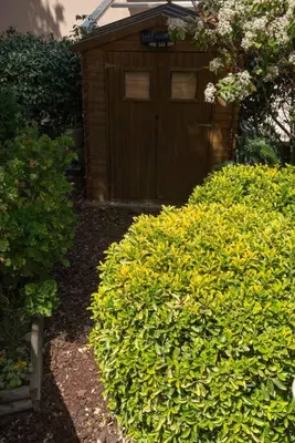 a row of green bushes in front of a building at Villa SYMPHONY A PIANA CORSE DU SUD in Piana