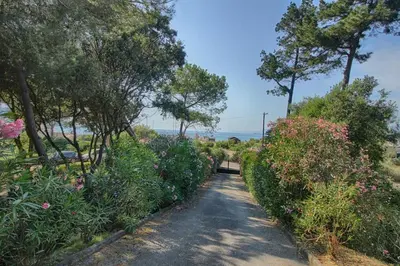 a dirt road with flowers and trees on a field at VILLA 200 m de la plage La Liscia TIUCCIA in Casaglione