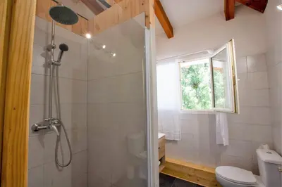 a bathroom with a shower and a toilet at BAVELLA VISTA in Zonza