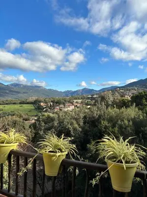 three potted plants on a balcony overlooking a city at 5 Min de la Plage - T4 avec Piscine & Tennis in Propriano