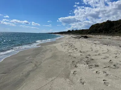 a beach with footprints in the sand and the ocean at App. 2 p design zen vue mer N182 in Linguizzetta