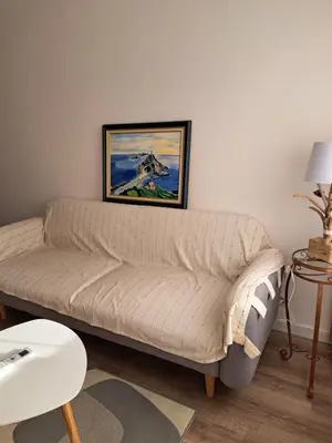 a couch in a living room with a picture on the wall at Casa D'Amore T3 in Ajaccio