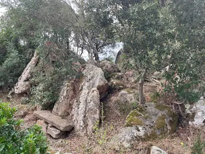 a stone bench on a hill with trees and rocks at Maison de vacances dans village AUTHENTIQUE Corse in Bonifacio