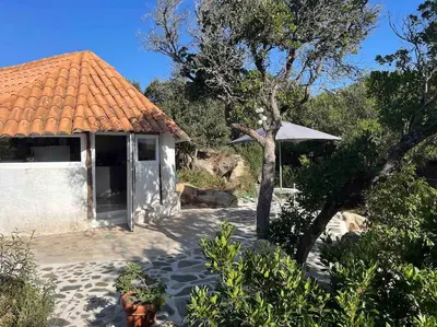 a white house with a tree and a building at Maison de vacances dans village AUTHENTIQUE Corse in Bonifacio