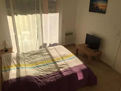 a bedroom with a bed and a television on a table at Chez Laurence et Fabien in Santa-Maria-Poggio
