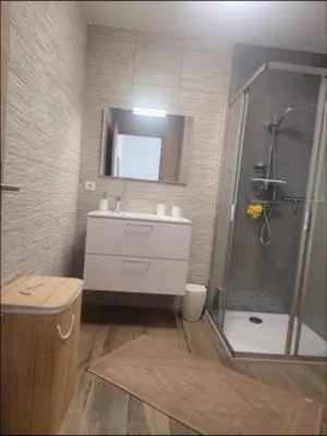 a bathroom with a shower and a sink and a mirror at Appartement dominant la baie d'Ajaccio in Ajaccio