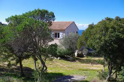 a house sitting on top of a hill with trees at villa marina in Sartène