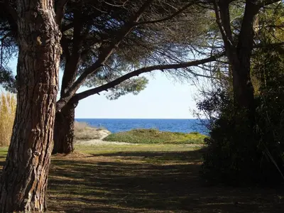 a path with trees and the ocean in the background at Bel appartement avec piscine- Poggio Mezzana in Poggio-Mezzana