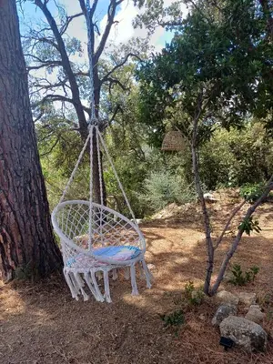 a swing hanging from a tree in a yard at VILLA I BAGHI - sans vis-à-vis au calme in Sainte-Lucie de Porto-Vecchio
