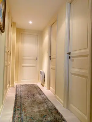 a hallway with a door and a rug at T3 Ajaccio Sacrée Coeur in Ajaccio