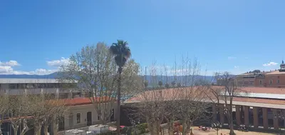 a palm tree sitting on top of a building at Appartement Roi Jérôme - Hypercentre in Ajaccio