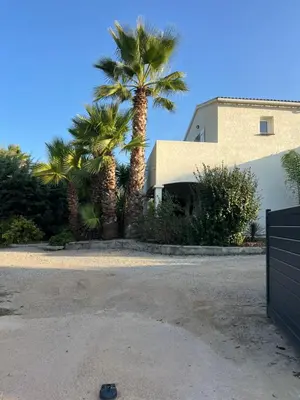a house with palm trees in front of a driveway at Porticcio- Duplex dans propriété privée in Cauro