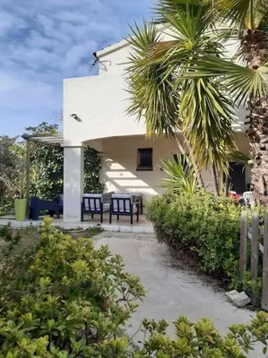 a white house with two chairs and a palm tree at Porticcio- Duplex dans propriété privée in Cauro