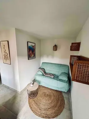 a living room with a green couch and a rug at Charmant petit appartement place de l eglise in Piana