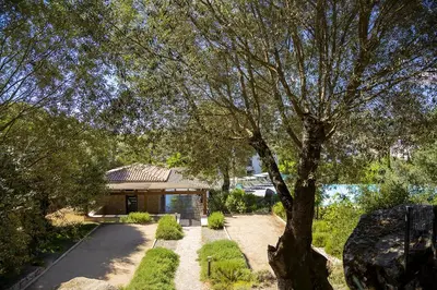 a house with a large tree in a yard at Domaine d'Arca - Gauguin 12 - 6 pers in Porto-Vecchio