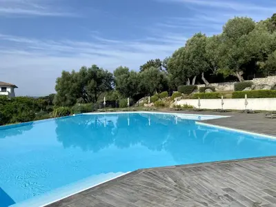 a large blue swimming pool with trees in the background at Domaine d'Arca - Flaubert 06 - 6 pers in Porto-Vecchio