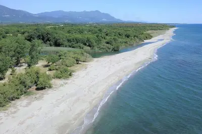 an aerial view of a beach with trees and water at Résidence front de mer + Piscine in Linguizzetta