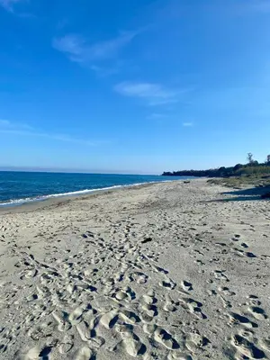 a beach with footprints in the sand and the ocean at Maison à 150m de la plage naturiste, 2 chambres in Linguizzetta