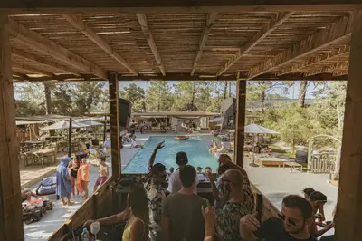 a forest with tall trees and green plants at Chalet - Piscine - ef0aae in Porto-Vecchio