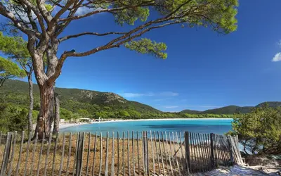 a fence on a beach with a tree and blue water at Tamaricciu di cala rossa in Lecci