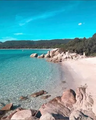 a beach with rocks and the ocean on a clear day at Tamaricciu di cala rossa in Lecci