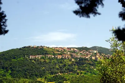 a town on top of a hill at Meublés de Tourisme Casa Erbaggio in Sartène