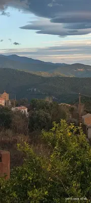 a view of a city from a hill with trees at Cœur de village de charme in Sari Solenzara