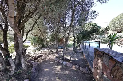 a group of trees next to a stone wall at L'alivi, Villa Prestige Avec Vue Panoramique in Figari