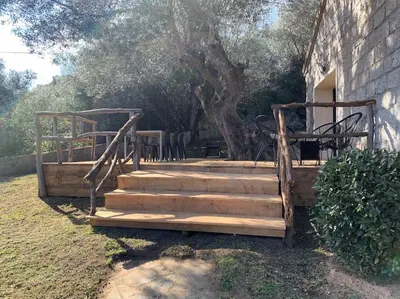 a wooden staircase with chairs and a tree at L'alivu di porto vecchio*** ( piscine chauffée ) in Porto-Vecchio