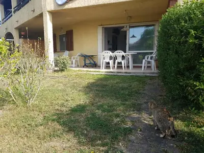 a cat standing outside of a house with a table and chairs at Charmant bonheur en bord de mer in Ghisonaccia