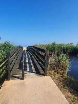a wooden bridge over a body of water at Charmant bonheur en bord de mer in Ghisonaccia