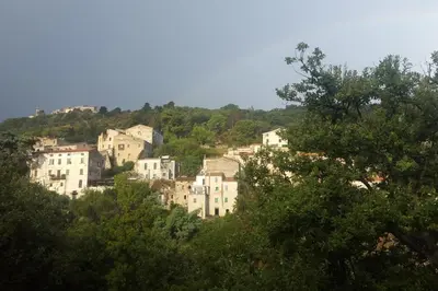 a group of houses on a hill with trees at Gîte E Curtaline in Speloncato